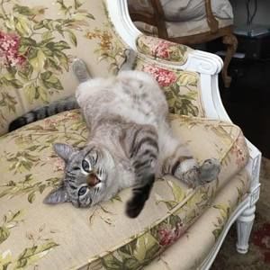 Meet your Posher, Pamela